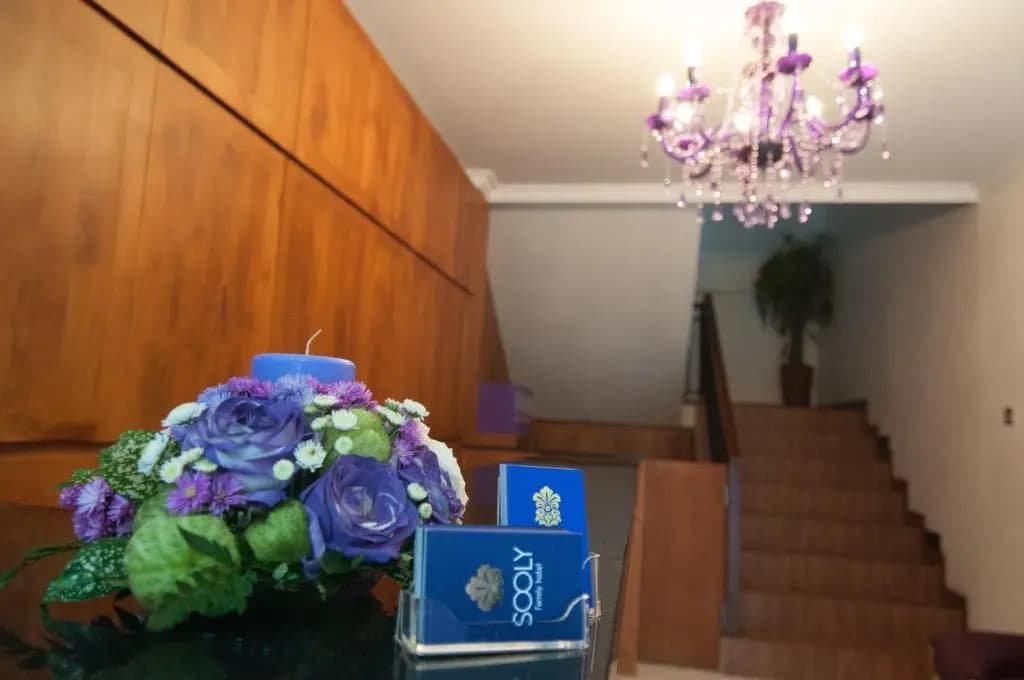 Sooly Hotel And Restaurant - photo 4