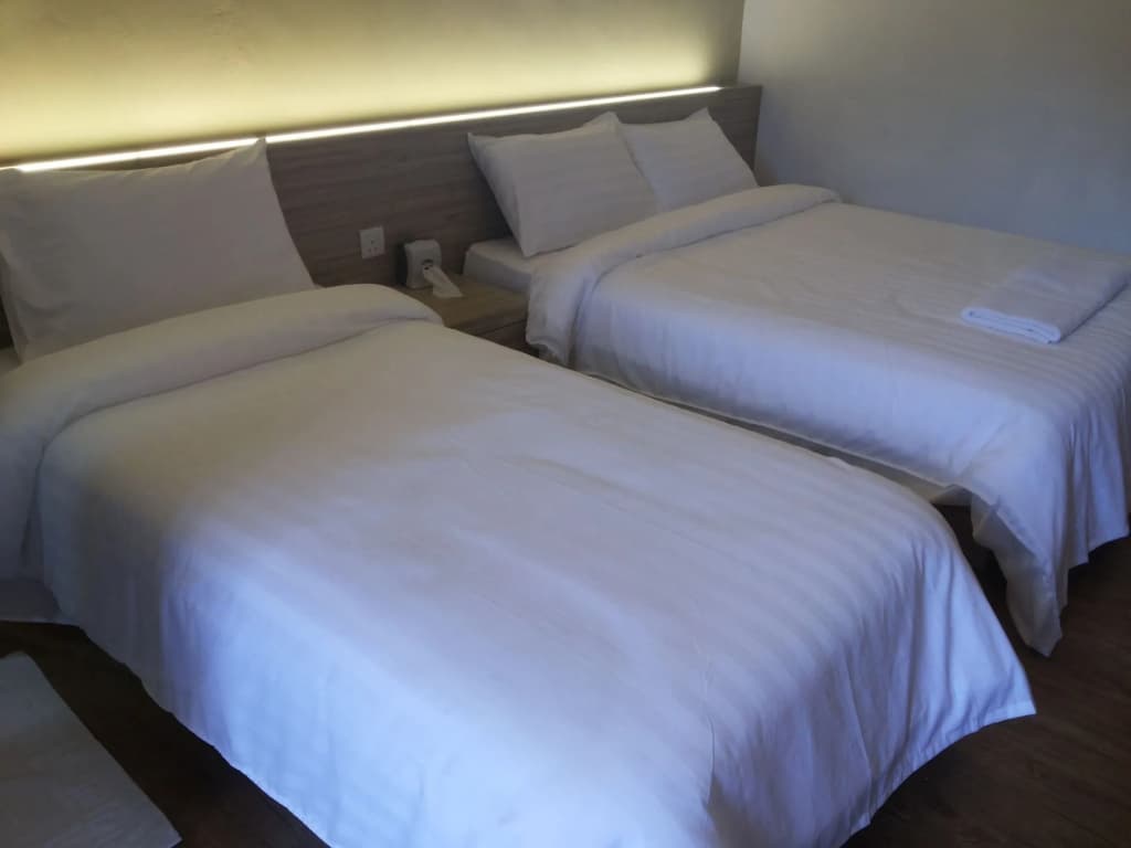 Suria Cameron Hotel - photo 5
