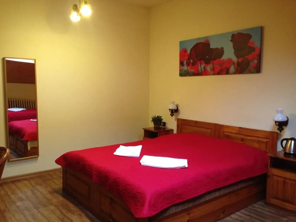 Platan pension - photo 7