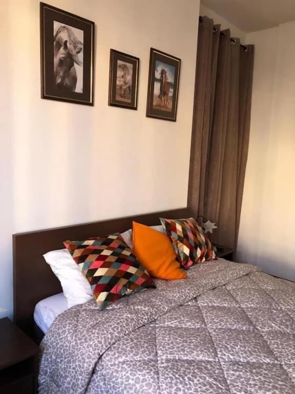 Sofia Guest House - photo 9