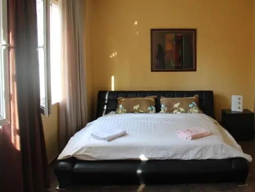 Sofia Guest House - photo 2