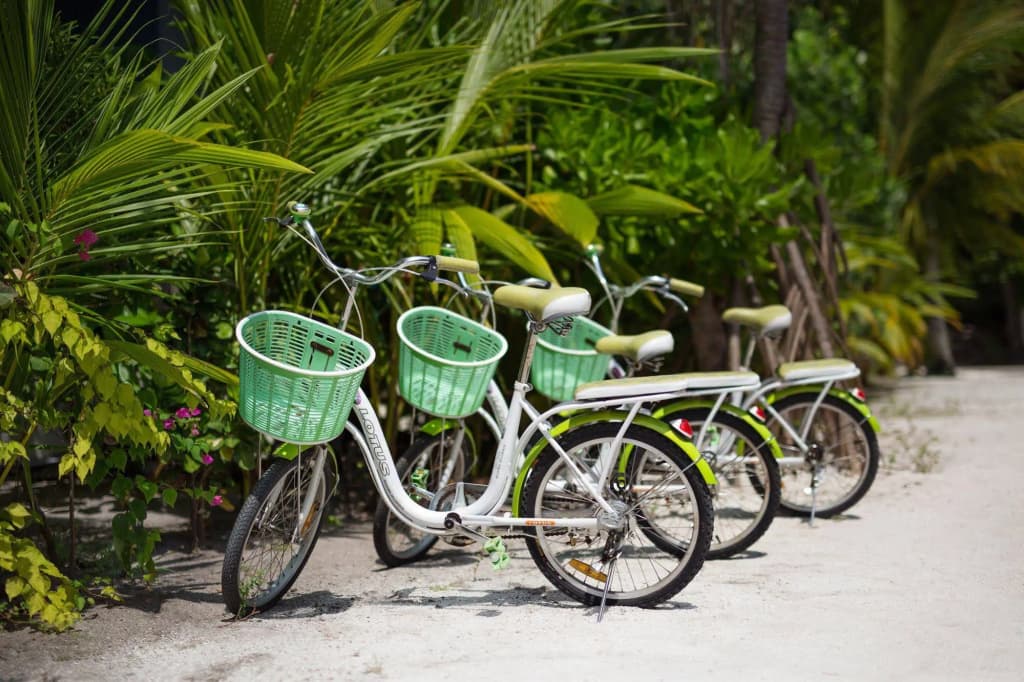 Tropical Village - photo 23