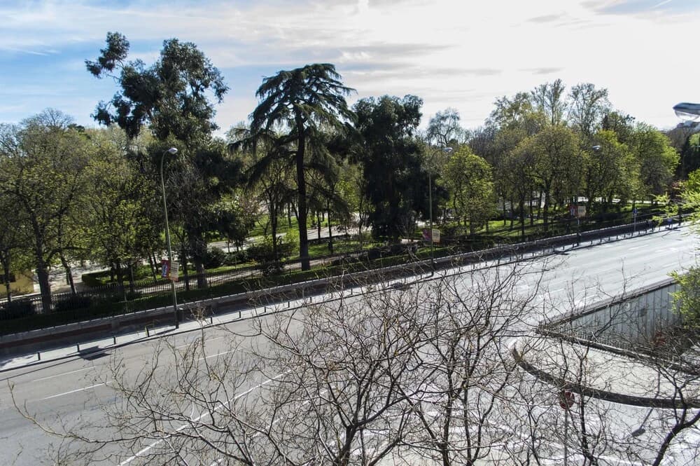 Lujoso Apart. Museo Prado-Cibeles - photo 12