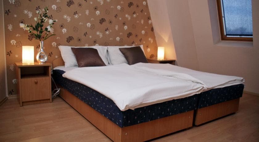Mátyás Hotel - photo 11