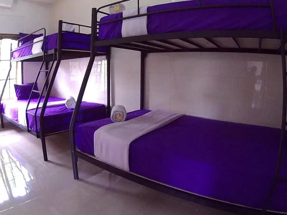 Twenty4Seven Bed & Breakfast - photo 5