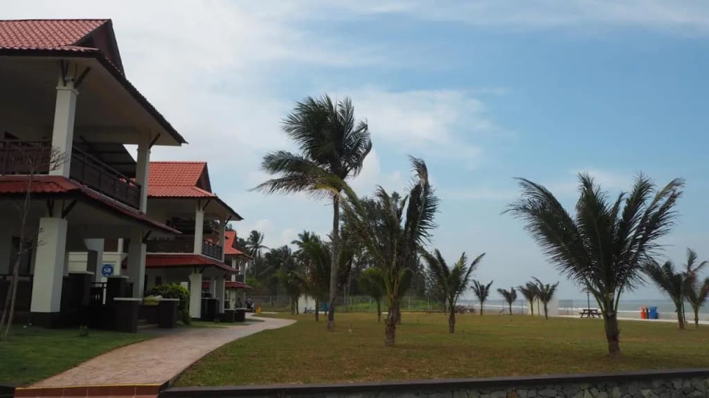 Lotus Seaview Beach Resort - photo 36