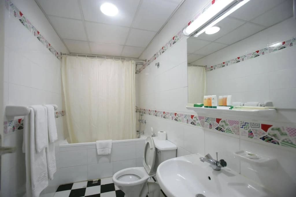 Imperial Hotel Apartment - photo 4
