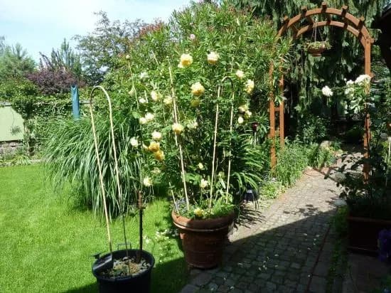 Ferienwohnung Friedrichshagen - photo 2