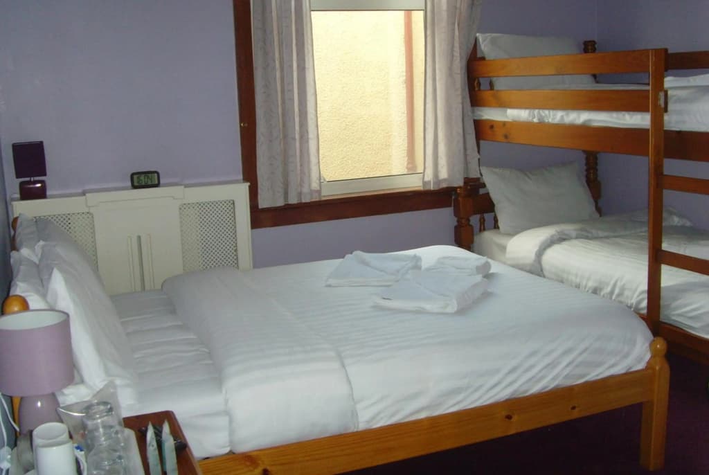 Twin Lions Hotel - photo 20