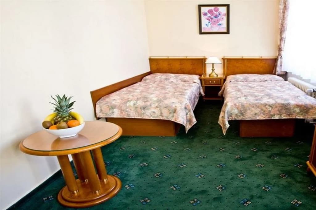 Hotel Melantrich - photo 6