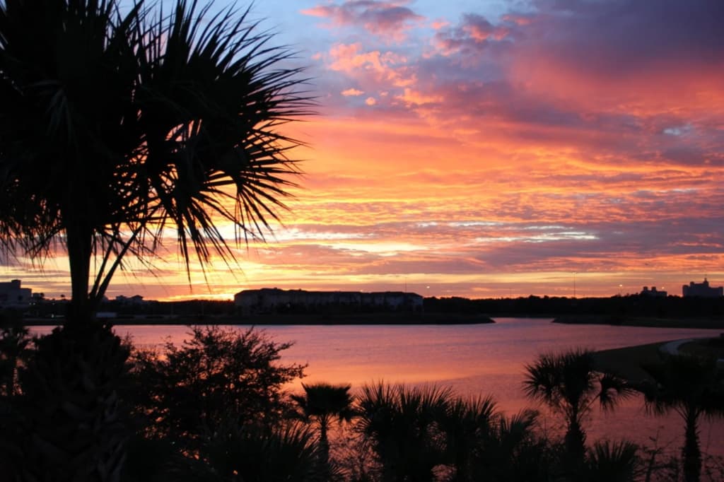 Lake View Escape - photo 10