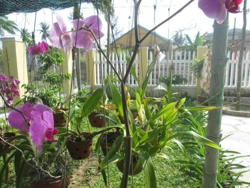 Thuan Phong Homestay - photo 4