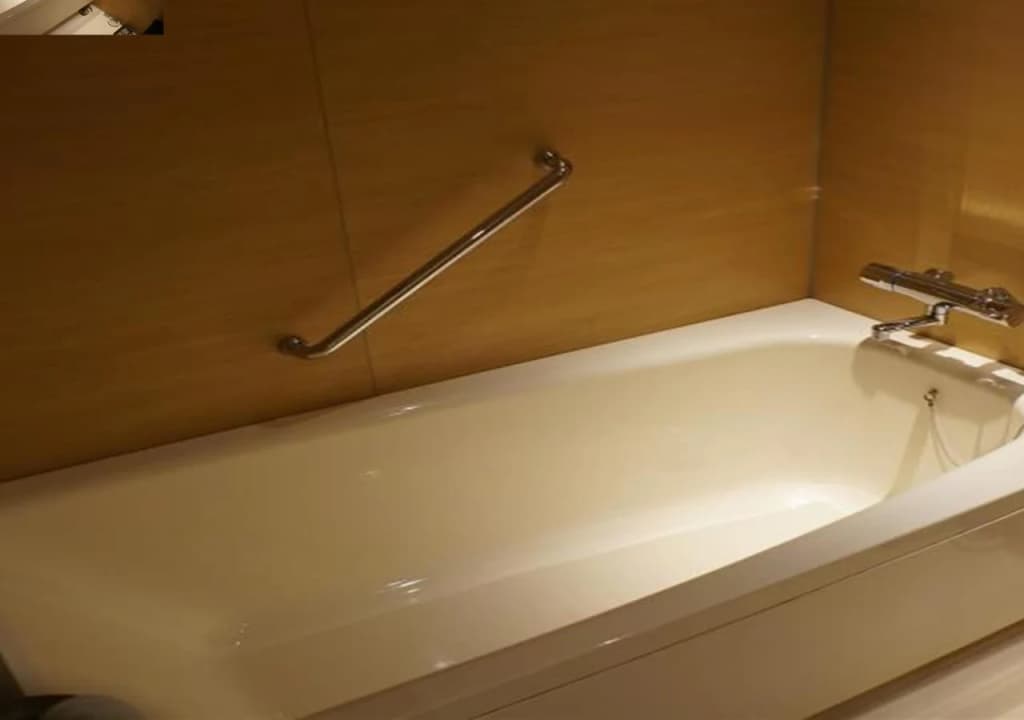 Jr Kyushu Hotel Blossom Shinjuku - photo 8