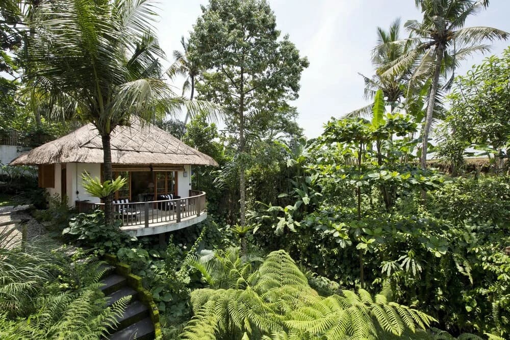 Mambo Villa - Ubud - photo 12