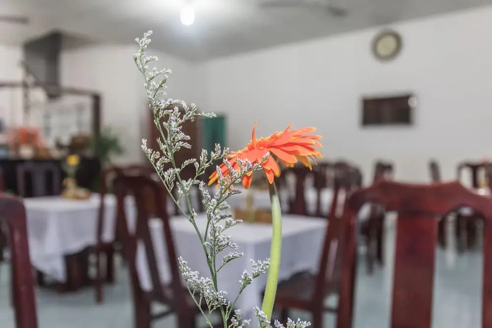 Galaxy Hotel Phu Quoc - photo 18