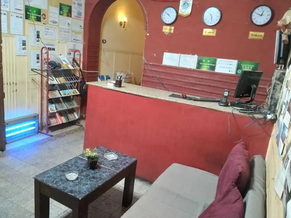Safary Hotel - photo 16