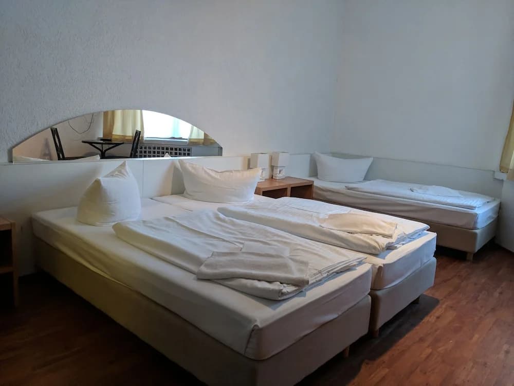 Hotel Haubach - photo 6