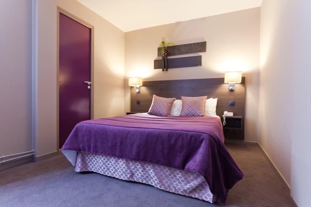 Hotel France Albion - photo 7
