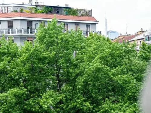 Bacone Halldis Apartments - photo 13