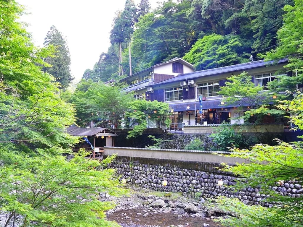 Kyoto Takao Kanko Hotel - photo 16
