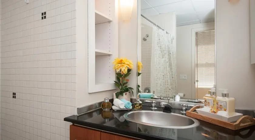 Sunshine Suites At 417 - photo 9