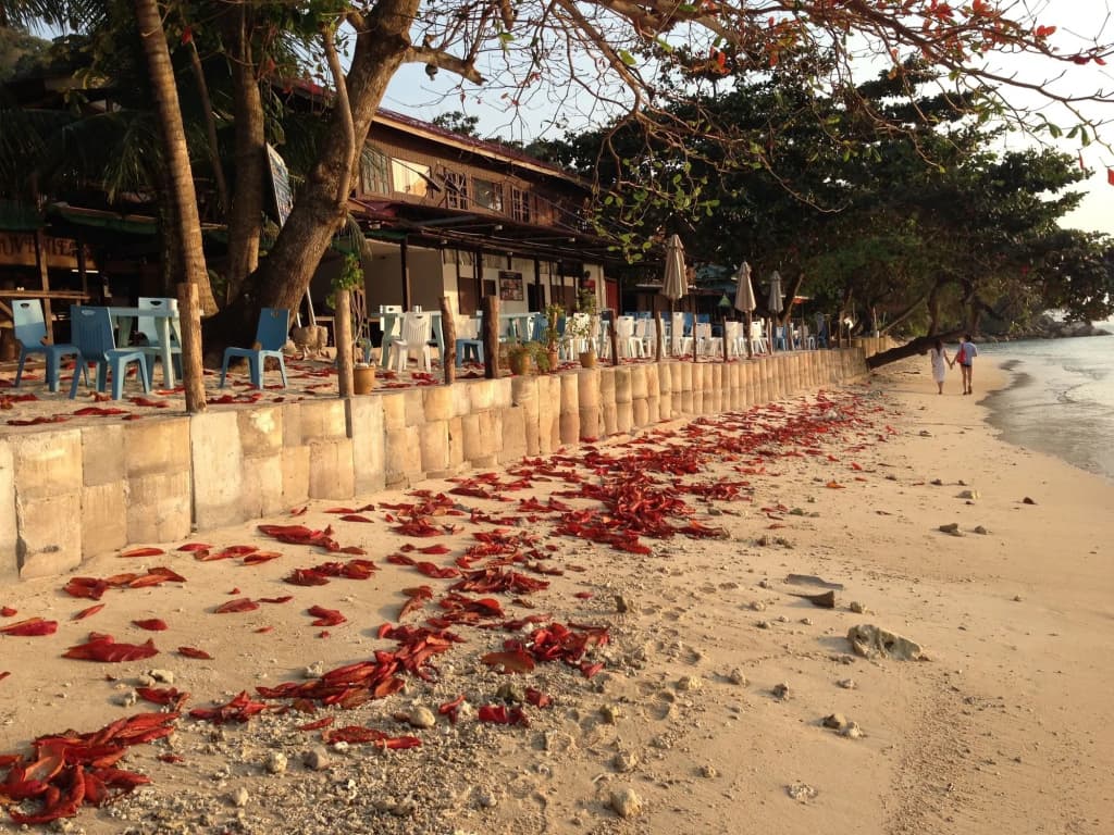The Barat Perhentian Beach Resort - photo 22