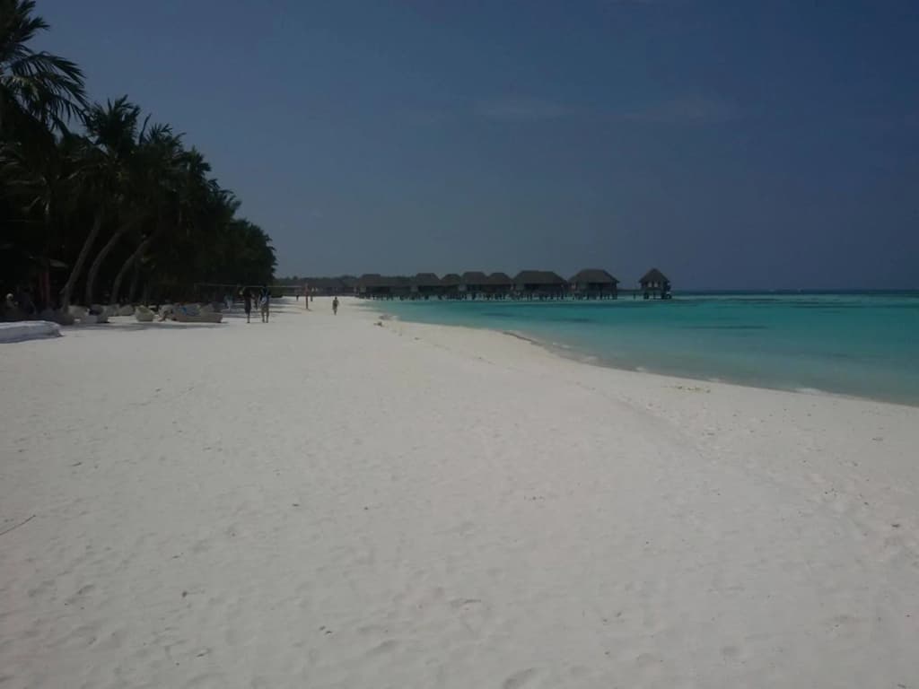 Ayaana Lodge - photo 13