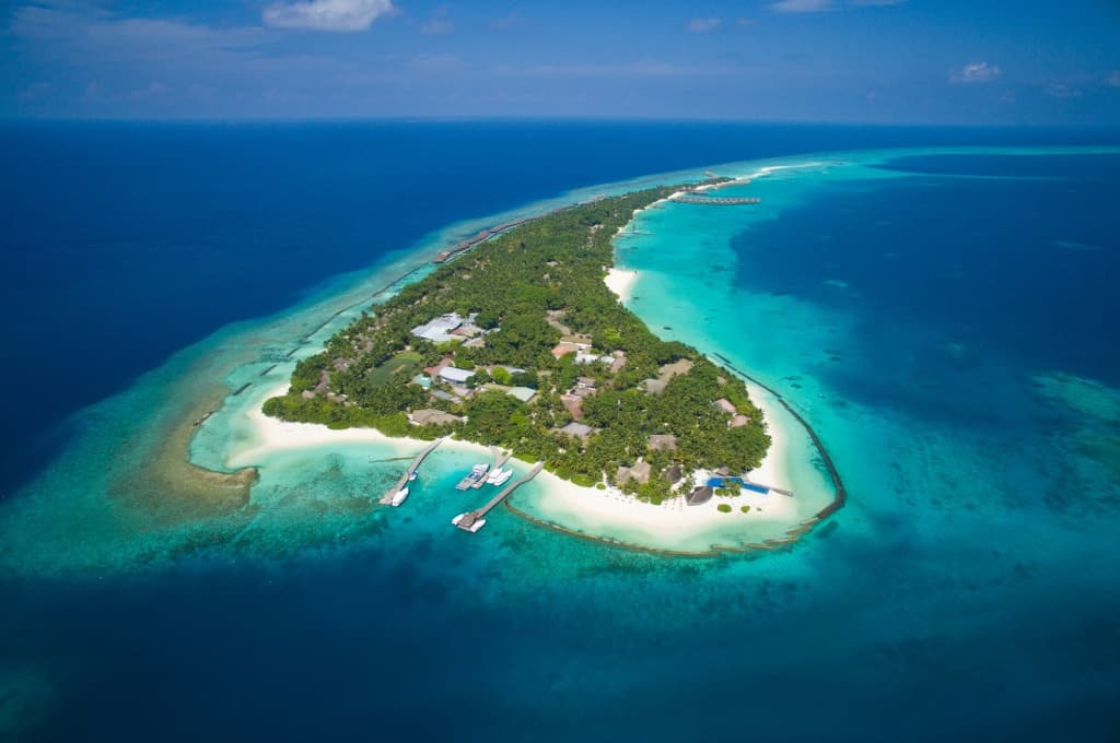 Niva Kuramathi Maldives - photo 17