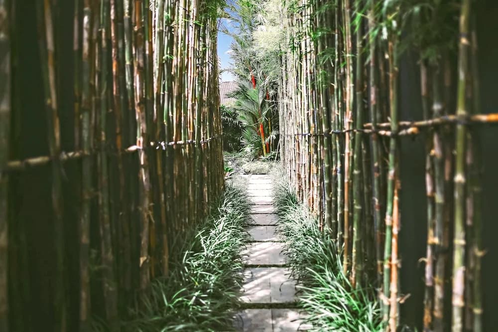 Villa Oasis In Canggu - photo 8