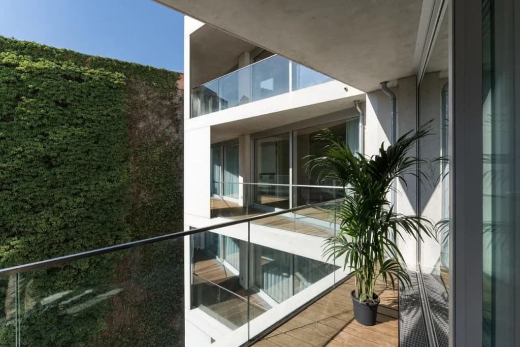 Carlotta Apartments - photo 16
