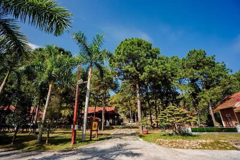 Bai Tu Long Mountain Resort - photo 9