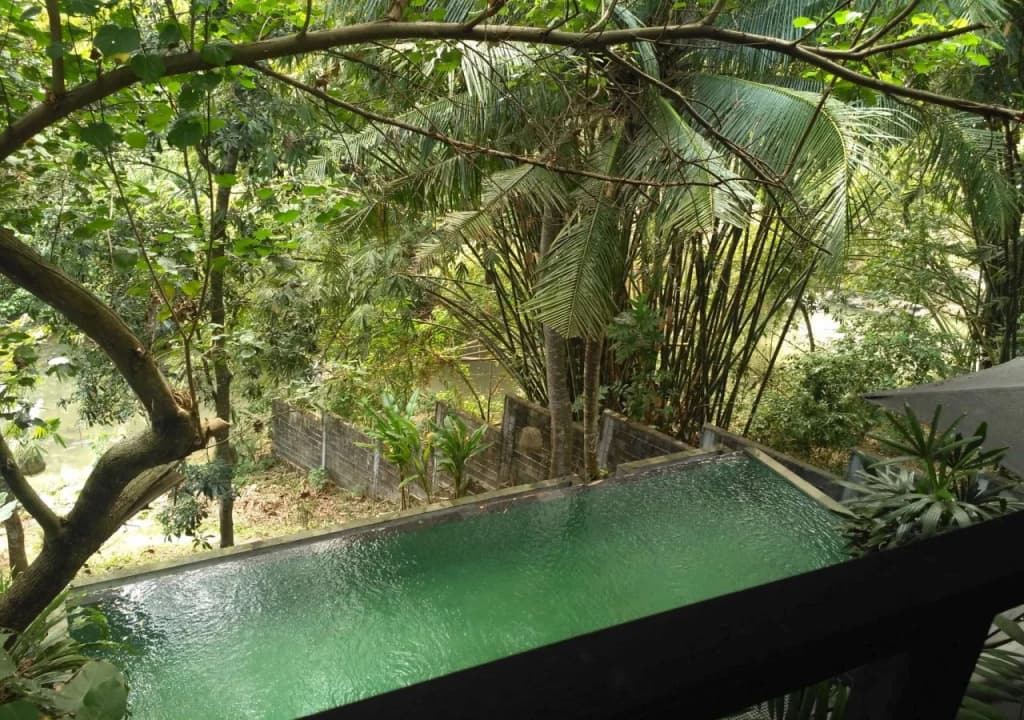 Treetop Waterfall - photo 3