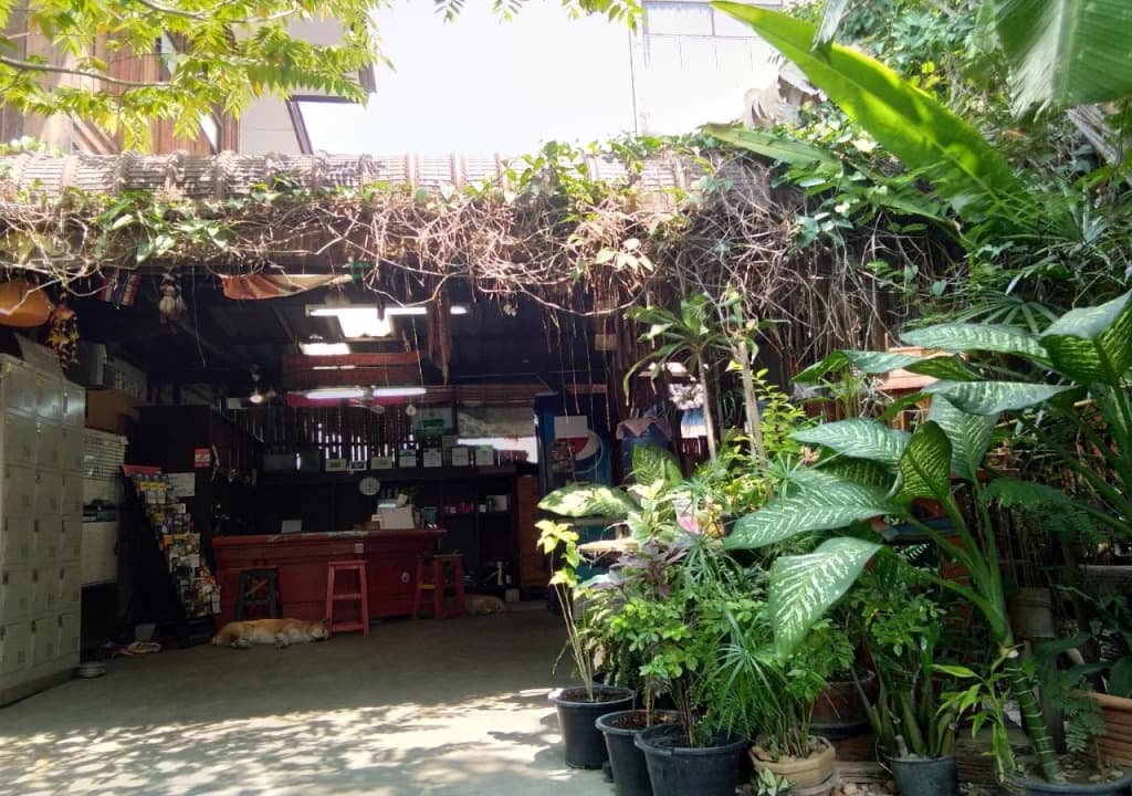 SDT Home - photo 48