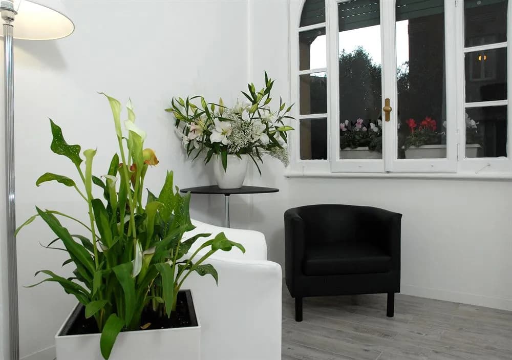 Gardenia Suites - photo 7