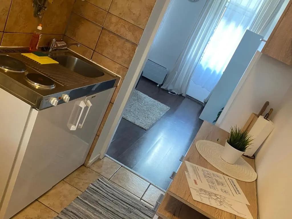 Rover Apartment - photo 2