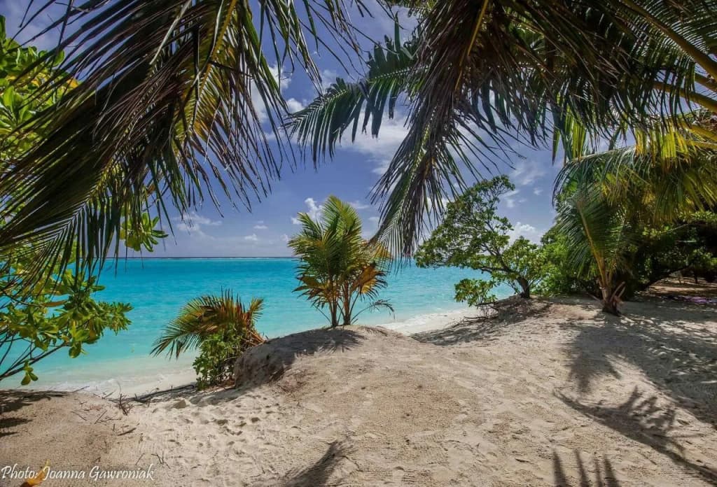 Thoddoo beach view Maldives - photo 11