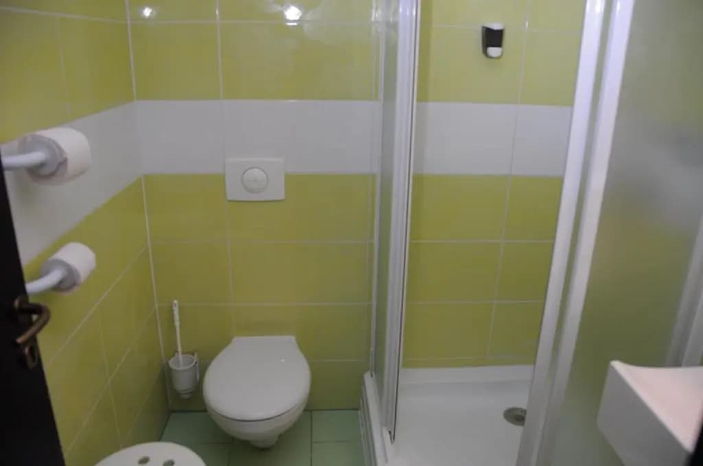 Green Hotel Budapest - photo 8