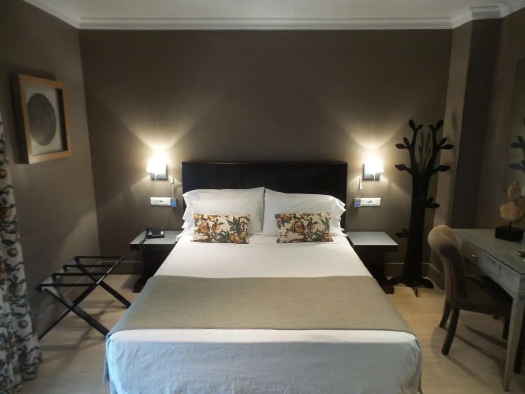 Hotel Moderno Puerta del Sol - photo 5