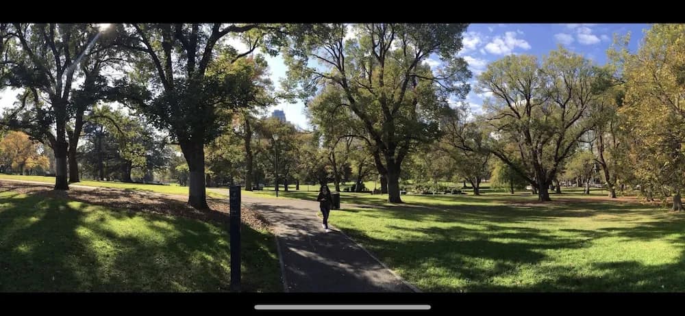 Park view on the City Fringe - photo 16