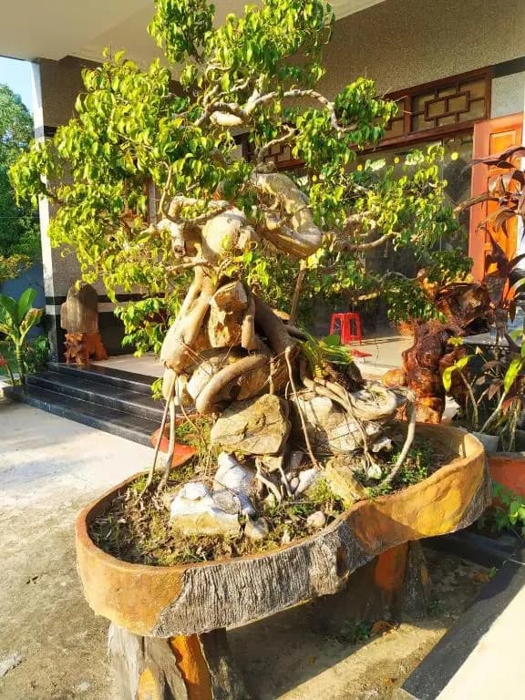 Lang Chai Homestay - main photo