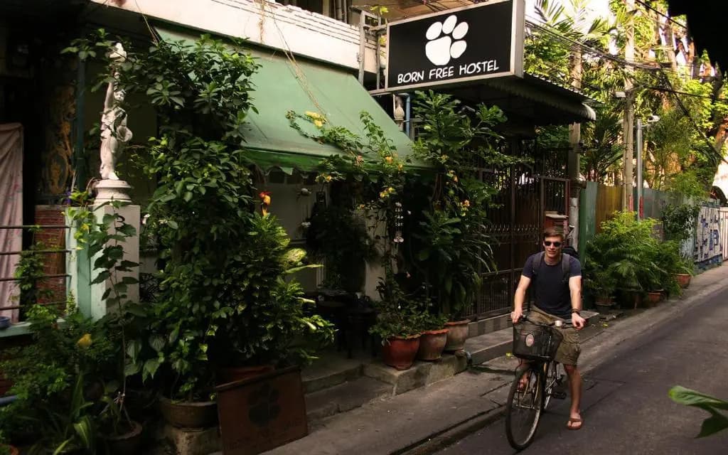 Born Free Hostel - photo 8