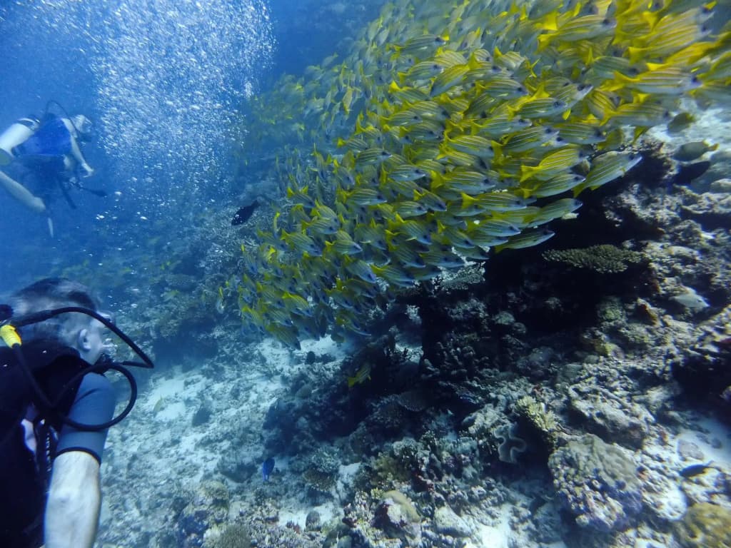 Rihiveli Maldives Resort - photo 20