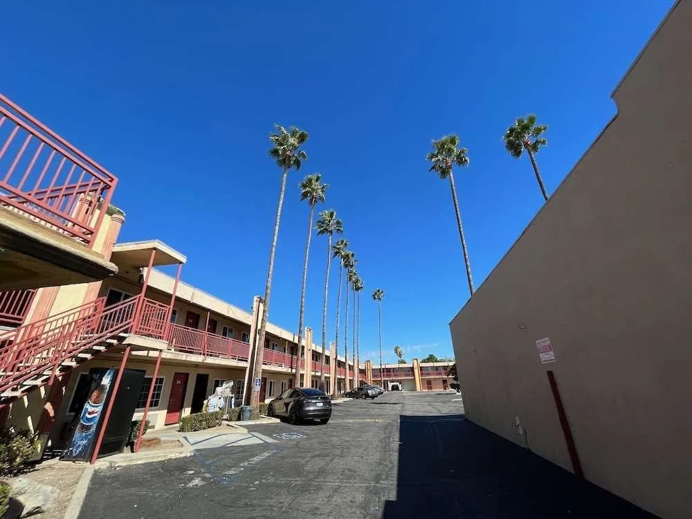 Palm Tree Inn - photo 3