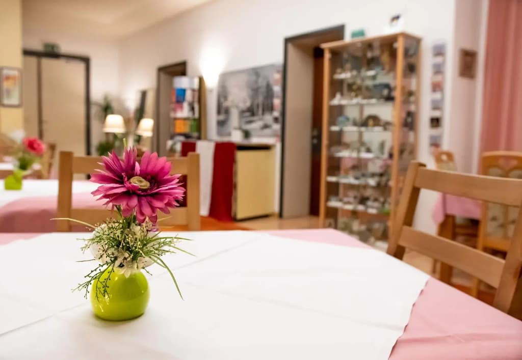 Hotel Pension Mariahilf - photo 24