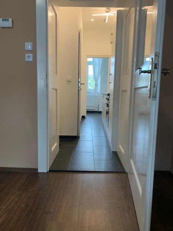 Apartment - photo 11