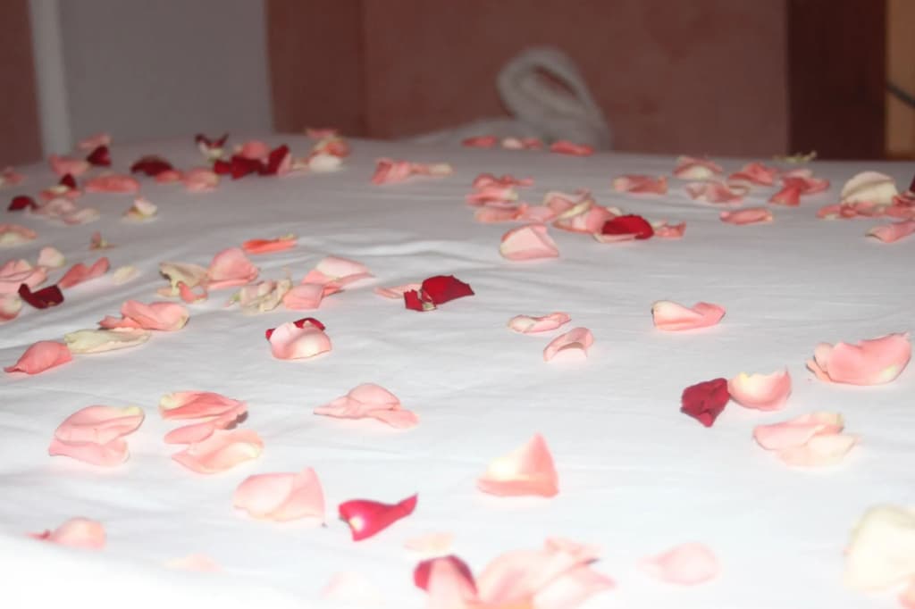 Riad O-ly - photo 13