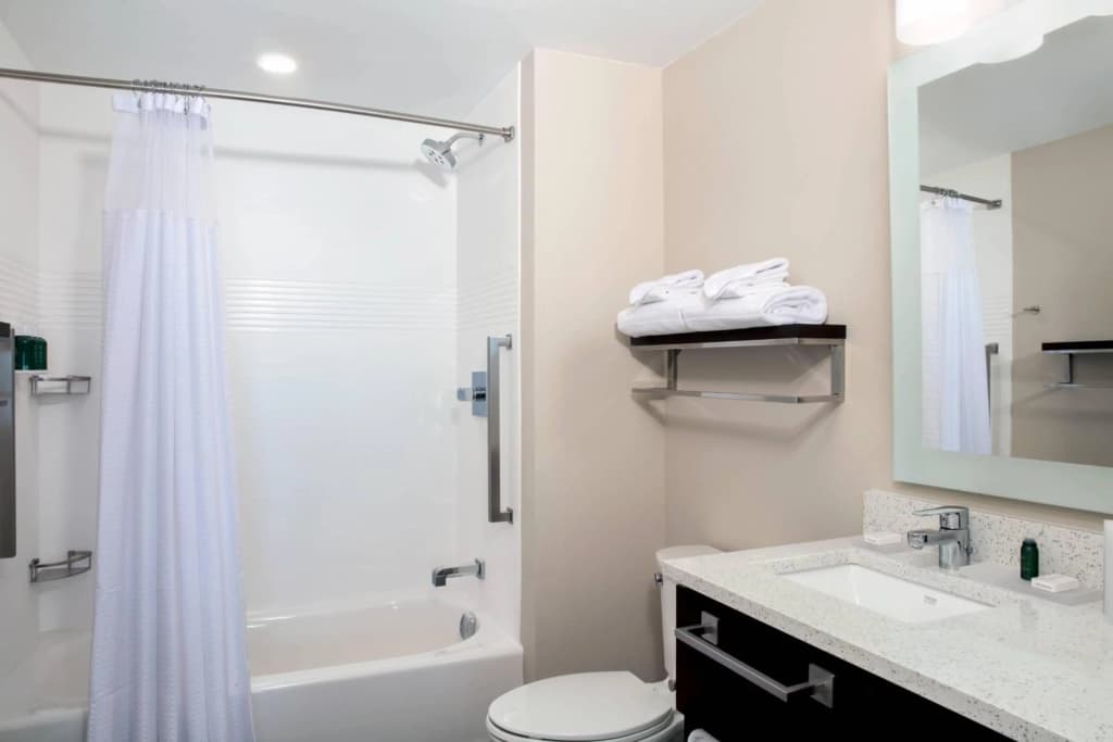 SpringHill Suites by Marriott Orlando Theme Parks/Lake Buena Vista - photo 41