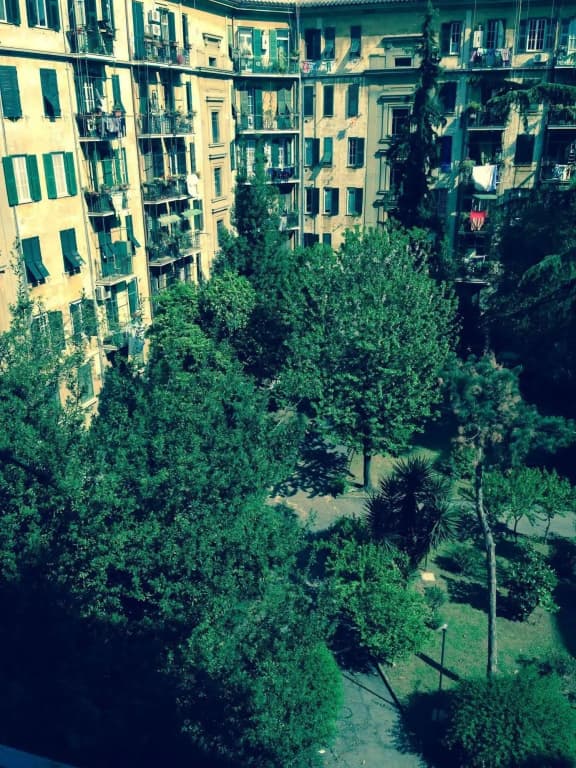Dixi Bird Guesthouse - photo 1