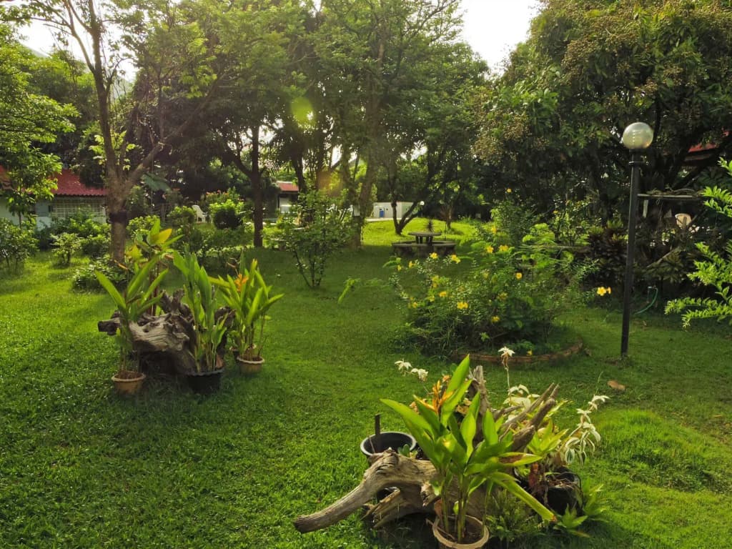 Baan Thai Resort - photo 9