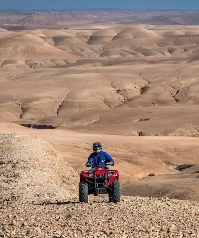 Riad kamal - photo 24